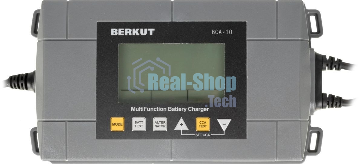 Зарядное устройство Berkut BCA-10