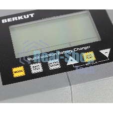 Зарядное устройство Berkut BCA-10