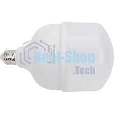 Лампа светодиодная Ergolux 14329 LED-HW-50W-E40-6K PRO 50Вт E27/E40 6500К 150-260В