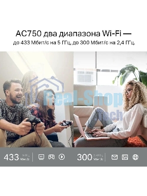 Роутер беспроводной TP-Link Archer C24 AC750 10/100BASE-TX белый