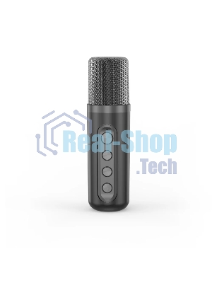 Переносная караоке система TRS2406 iconBIT K702B Колонка 10Вт, 2 микрофона Bluetooth, подсвктка, с аккумулятор в колонке 1500mAh и микрофонах, 16*12*16.7 CM, черный