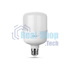 Лампа светодиодная ERGOLUX (14332) LED-HW-90W-E40-6K серия PRO
