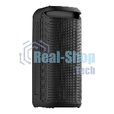 Акустика напольная Soundmax SM-MS4209 черный