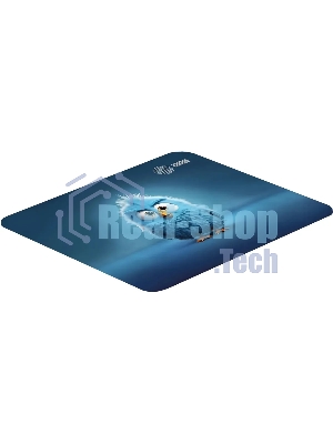 Коврик для мыши Cactus Bird 220x180x2мм (CS-MP-P13XS)