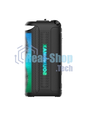 Акустика напольная Soundmax SM-MS4209 черный