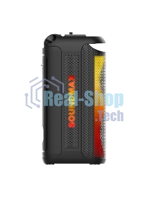 Акустика напольная Soundmax SM-MS4209 черный