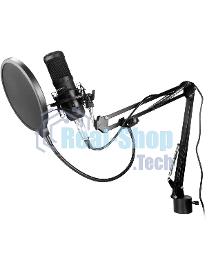 Микрофон проводной Оклик SM-600G 2.5м черный
