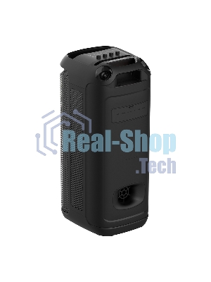 Акустика напольная Soundmax SM-MS4209 черный
