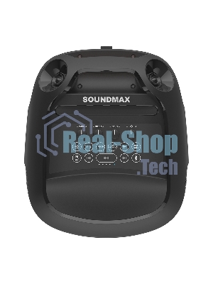 Акустика напольная Soundmax SM-MS4209 черный