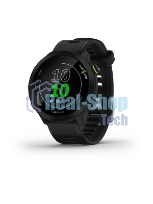 Умные часы Garmin Forerunner 55, 1.04