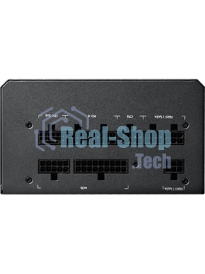 Блок питания Chieftec Vega M PPG-750-C (ATX 3.1, 750W, 80 PLUS GOLD, Active PFC, 135mm fan, Gen5 PCIe, Full Cable Management) Retail