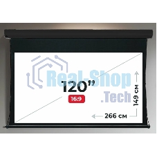 Экран для проектора S'OK Apollo SGPSMT-266x149A-BK бокового натяжения, звукопрозрачный, черный
