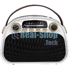 Радиоприемник Ritmix RPR-040 белый