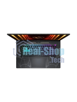 Ноутбук MSI Cyborg 17 B2RWFKG-284XRU/17.3