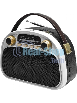 Радиоприемник Ritmix RPR-040 белый