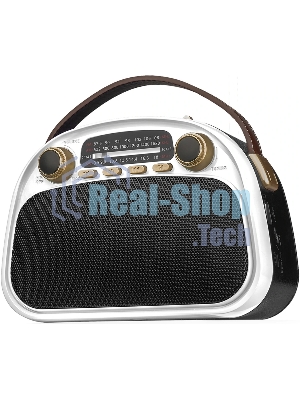 Радиоприемник Ritmix RPR-040 белый