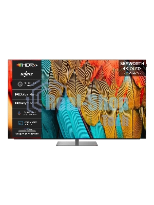 Телевизор Skyworth 77