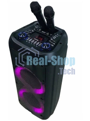 Колонка Eltronic DANCE BOX 08