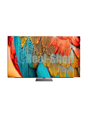 Телевизор Skyworth 77