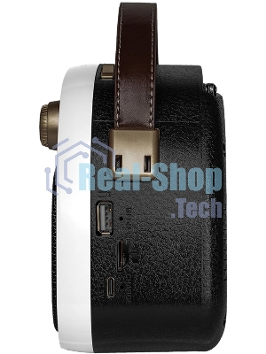 Радиоприемник Ritmix RPR-040 белый
