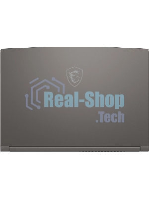 Ноутбук MSI Thin 15 B13VE-2650XRU серый Intel Core i5 13420H 2100MHz/15.6