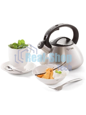 Чайник металлический Rondell Krafter RDS-1607 3 л, стальной
