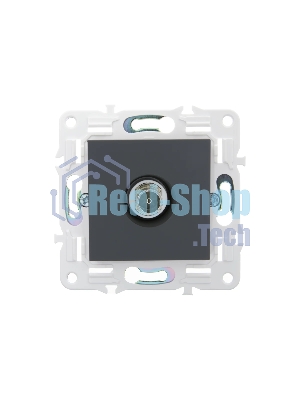 Розетка TV оконечная IEK SKANDY SK-A12G (SK-A10-O-K53) графит