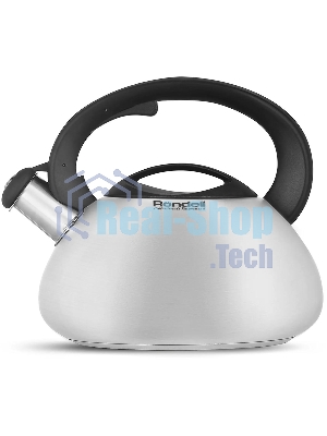Чайник металлический Rondell Krafter RDS-1607 3 л, стальной