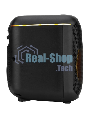 Колонка ELTRONIC 30-78 DANCE BOX 550 - 08