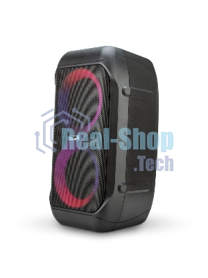 Колонка Eltronic 06