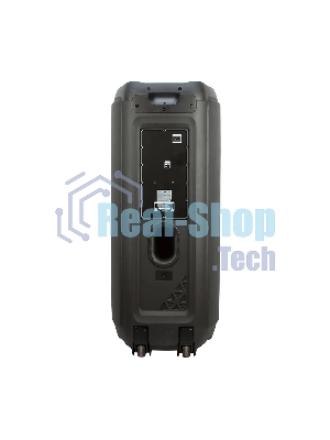 Колонка Eltronic  FIRE BOX  12