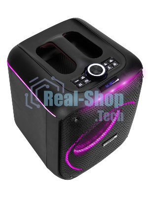 Колонка ELTRONIC 30-78 DANCE BOX 550 - 08