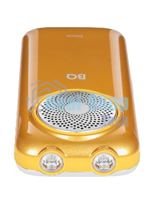 Мобильный телефон BQ 2005 Disco золотистый