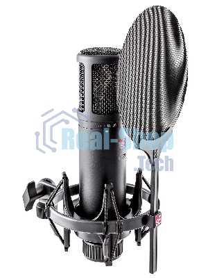 Микрофон конденсаторный sE Electronics SE 2200 20 Гц - 20 кГц, кардиоида, комплектация: металлический поп-фильтр, держатель типа паук, резьбовой переходник на микрофонную стойку