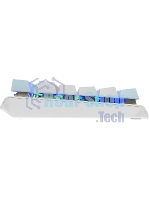 Клавиатура проводная A4Tech Fstyler FS100 Neon, USB, синий/белый