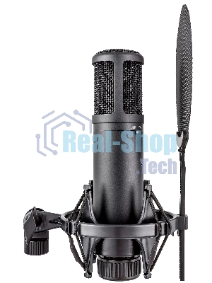 Микрофон конденсаторный sE Electronics SE 2200 20 Гц - 20 кГц, кардиоида, комплектация: металлический поп-фильтр, держатель типа паук, резьбовой переходник на микрофонную стойку