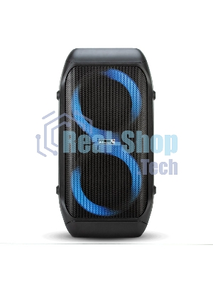 Колонка Eltronic 06