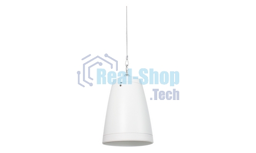 Акустическая система INTREND ITSPK-550PT-W двухполосная, подвесная, 5