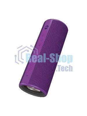 Портативная колонка Soundmax SM-PS5024B(фиолетовый)