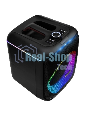 Колонка ELTRONIC 30-79 DANCE BOX 550 - 08