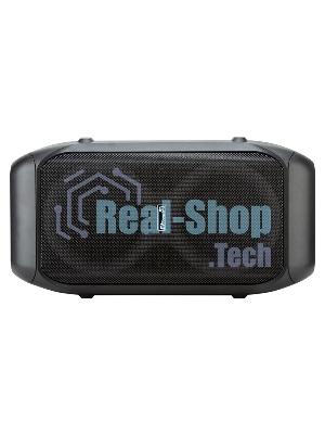 Колонка Eltronic 06