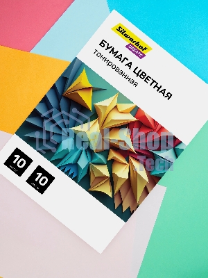 Бумага цветная Silwerhof тонир. 10 л. 10цв. A4 CREATE 80г/м2 папка