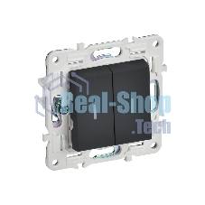 Выключатель IEK SKANDY SK-V09G 2-кл. 10А с индикацией графит SK-V20-1-10-K53
