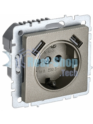 Розетка 1-местная IEK BRITE РЮш10-1-БрШ (BR-R14-16-U21-D21-K37) 16А, с USB A+A 2.1А, с заземлением, с защитными шторками, шампань