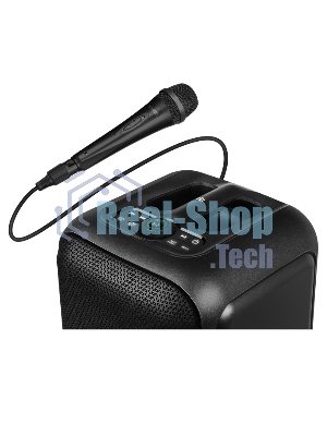 Портативная колонка SVEN PS-880, черный, 1.0, 110 Вт (RMS), Bluetooth, FM, USB, microSD, LED-дисплей, аккумулятор