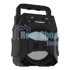 Портативная колонка SOUNDMAX SM-PS5027B черный