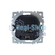 Розетка 1-местная IEK BRITE РЮш10-1-БрА (BR-R14-16-U21-D21-K47) с заземлением, с защитными шторками, 16А, с USB A+A 5В 2,1А, алюминий