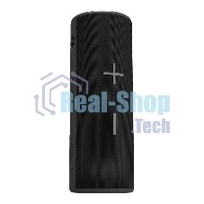 Портативная колонка Soundmax SM-PS5024B черный