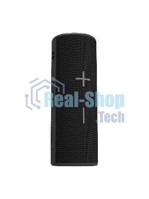 Портативная колонка Soundmax SM-PS5024B черный
