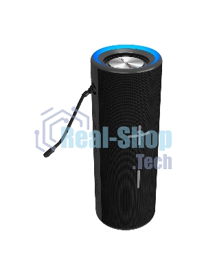 Портативная колонка Soundmax SM-PS5024B черный
